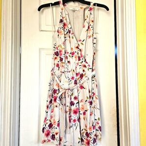 Q&A V Neck Mini Dress